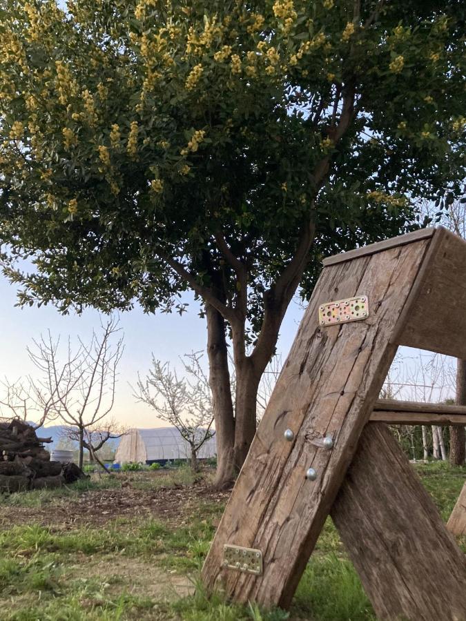 Vila Casa De L'Hort - Els Valentins Exteriér fotografie